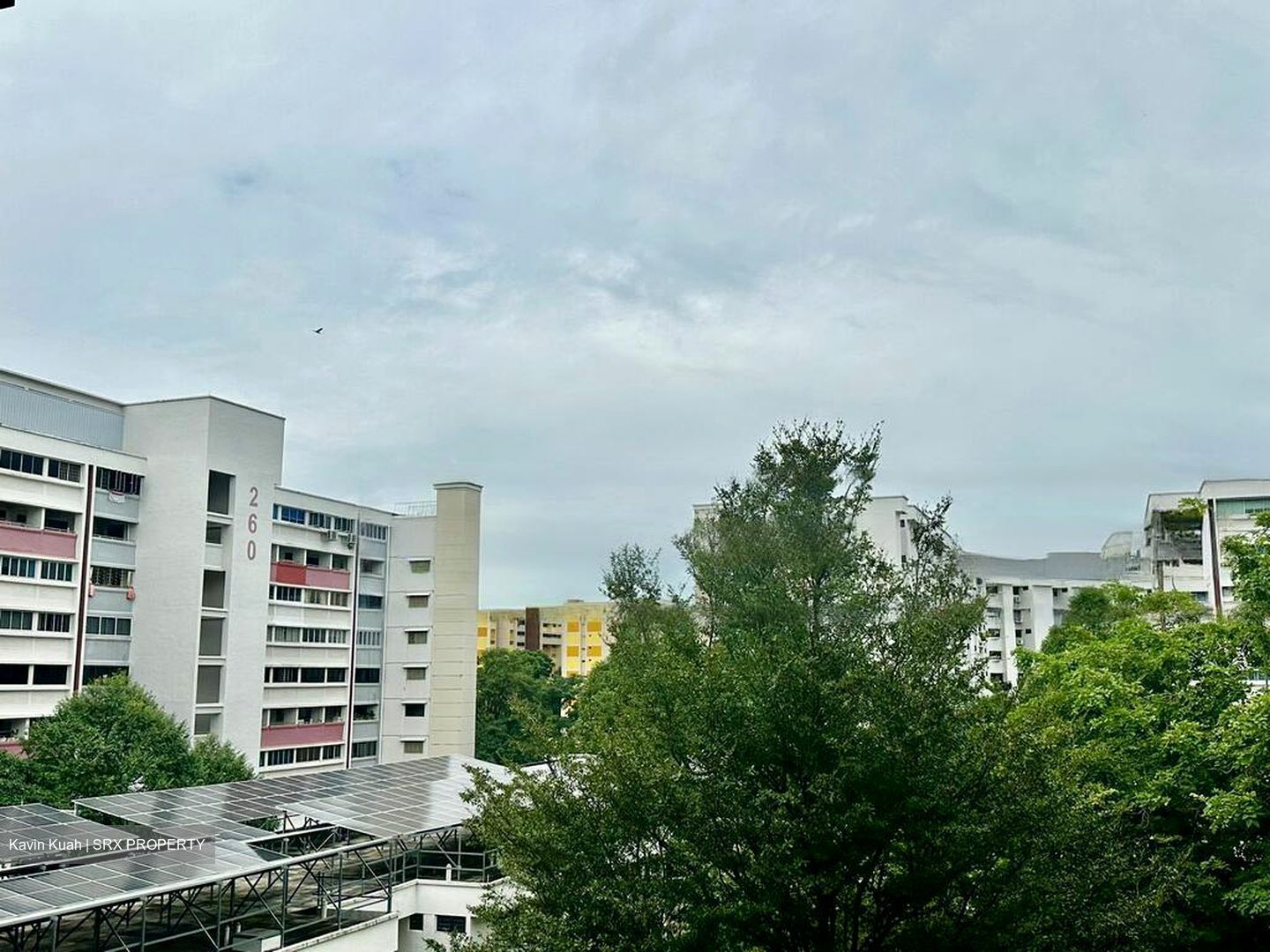 Blk 257 Tampines Street 21 (Tampines), HDB 5 Rooms #503750491